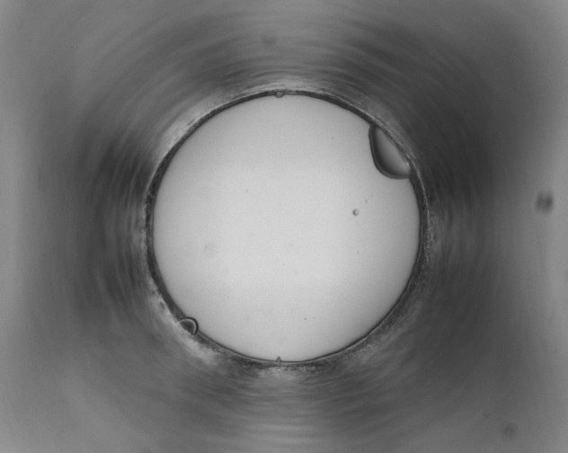 X0000111660898200908071430