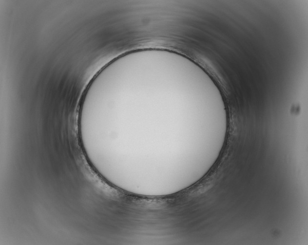 X0000111660900200908071430