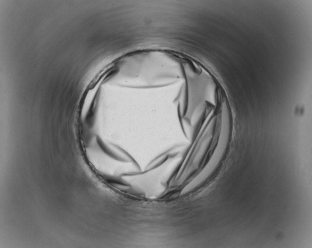 X0000111660901200908071430