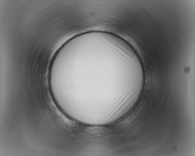 X0000111660902200908071430