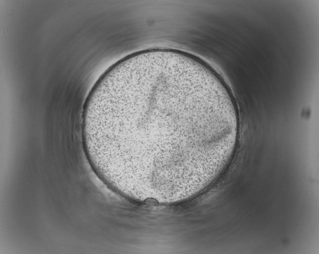 X0000111660903200908071430