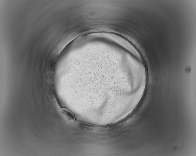 X0000111660905200908071430