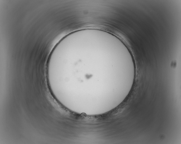 X0000111660907200908071430