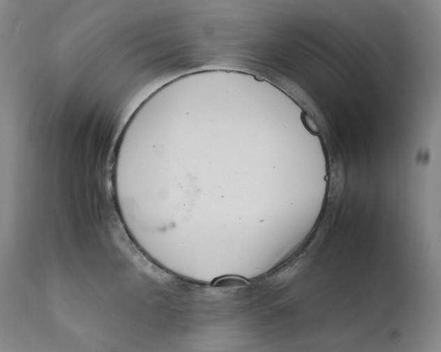 X0000111660908200908071430