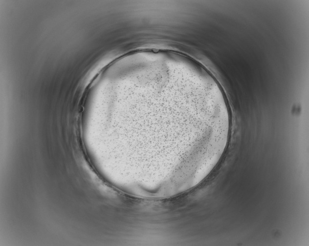 X0000111660909200908071430