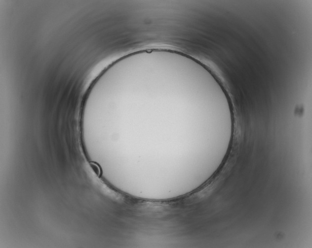 X0000111660910200908071430