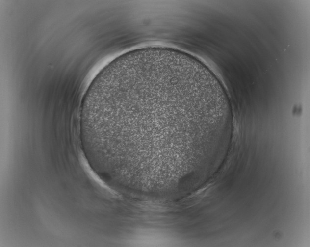 X0000111660911200908071430