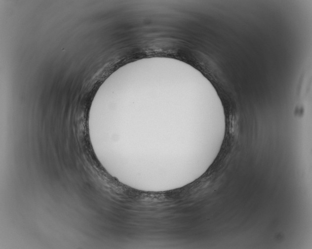 X0000111660915200908071429