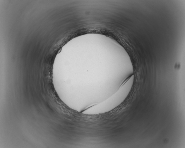 X0000111660916200908071429