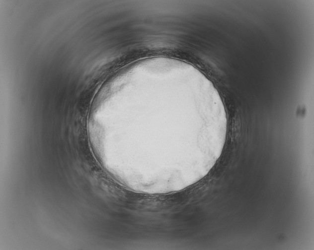 X0000111660917200908071429