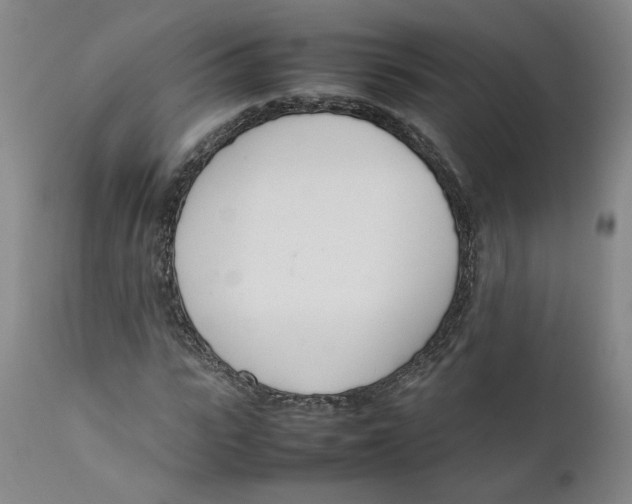 X0000111660919200908071429