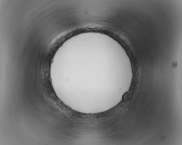 X0000111660920200908071429