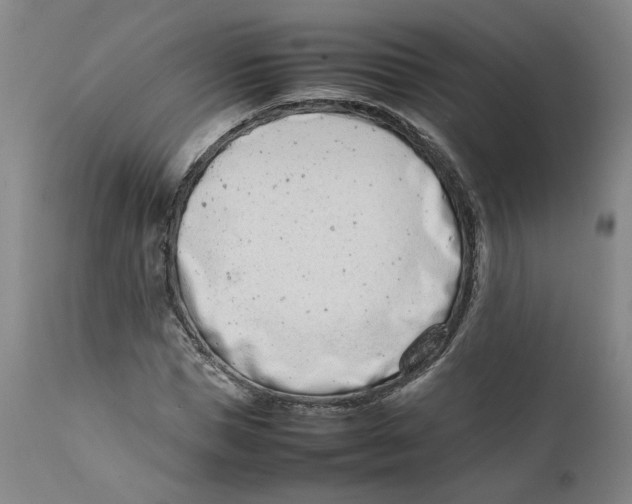 X0000111660921200908071429