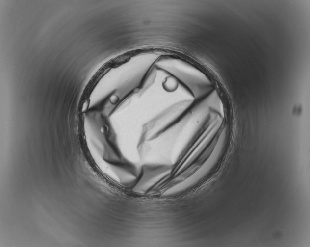 X0000111660924200908071429