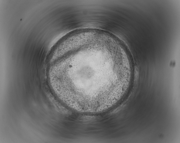 X0000111660925200908071429