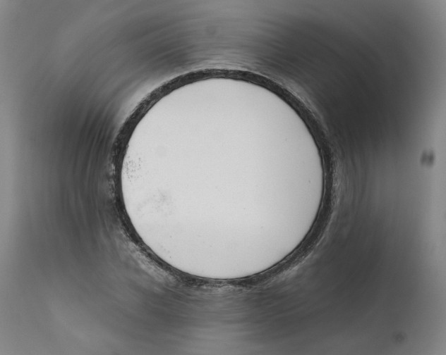 X0000111660926200908071429