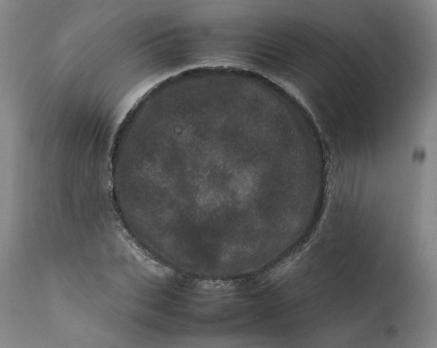 X0000111660927200908071429