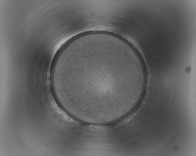 X0000111660928200908071429