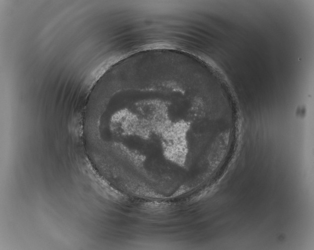 X0000111660929200908071429