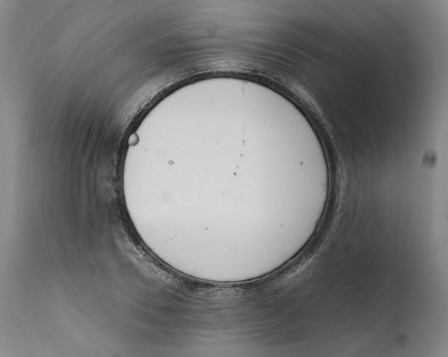 X0000111660930200908071429