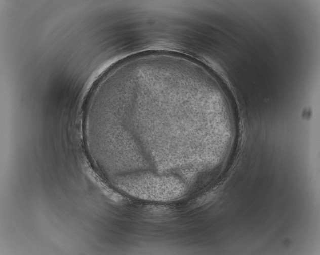 X0000111660931200908071429