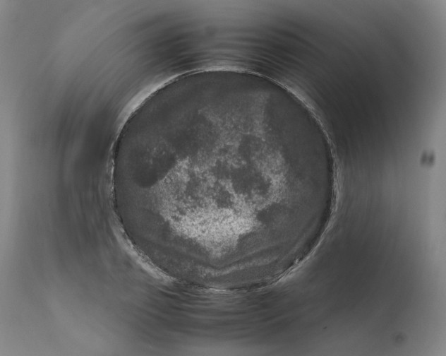 X0000111660933200908071429