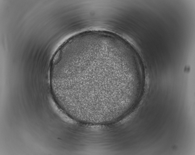 X0000111660934200908071429