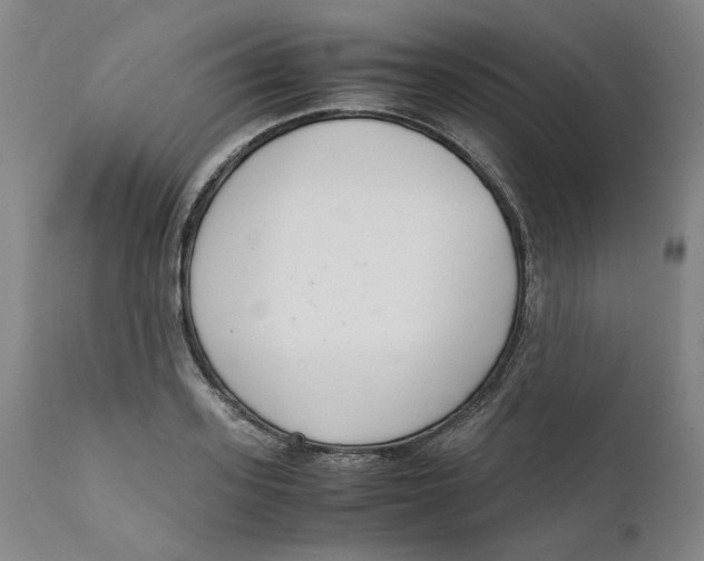 X0000111660939200908071429