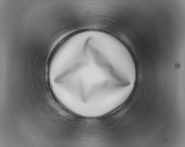 X0000111660940200908071429