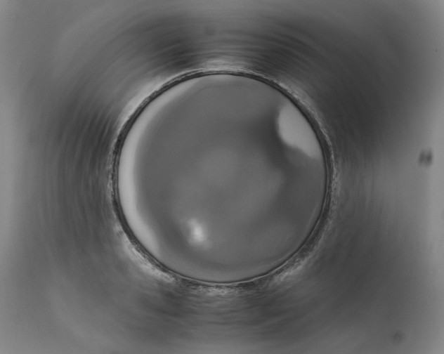 X0000111660941200908071429