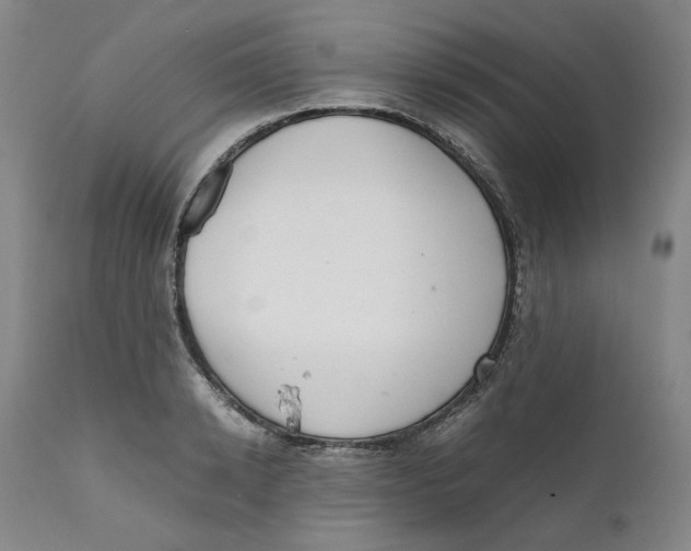 X0000111660942200908071429