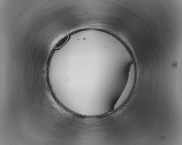 X0000111660944200908071429