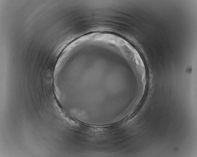 X0000111660945200908071429