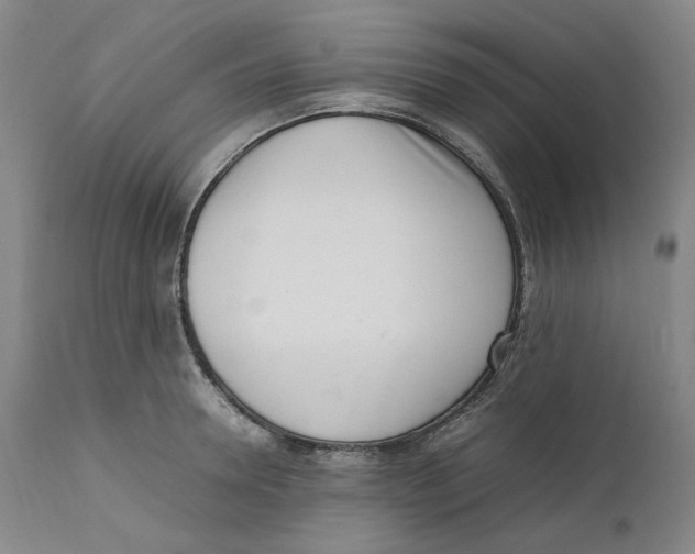 X0000111660946200908071429