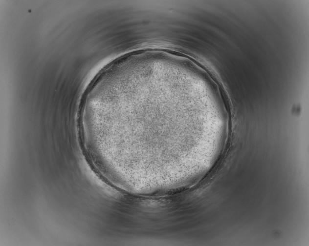 X0000111660947200908071429