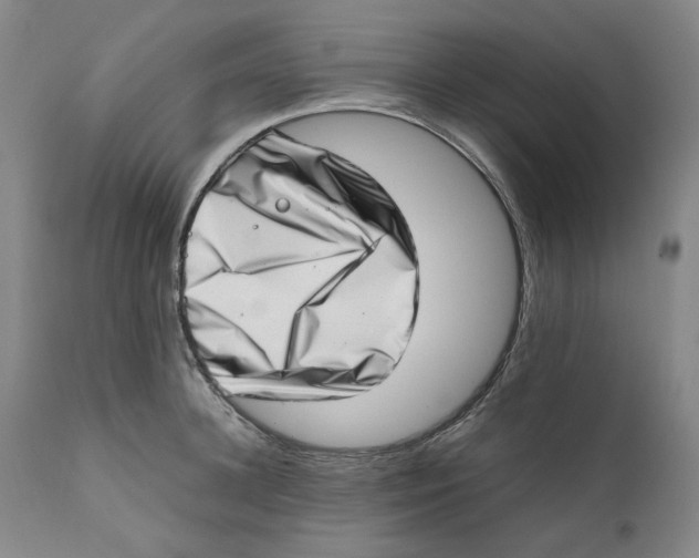 X0000111660948200908071429