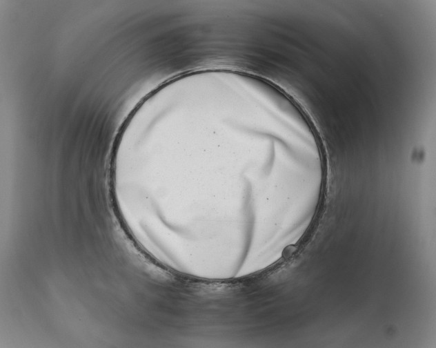 X0000111660949200908071429