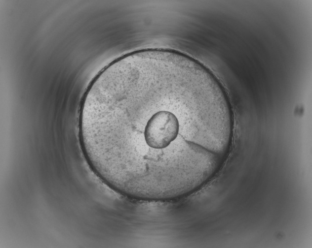 X0000111660950200908071430