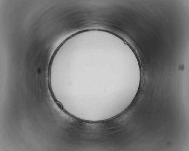 X0000111660951200908071430