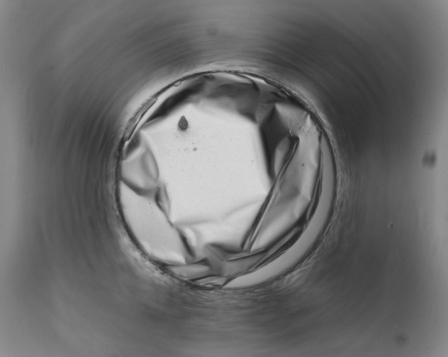 X0000111660952200908071430