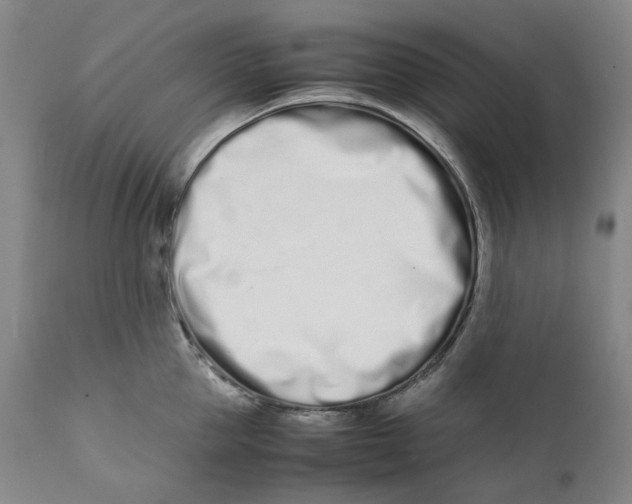 X0000111660953200908071430