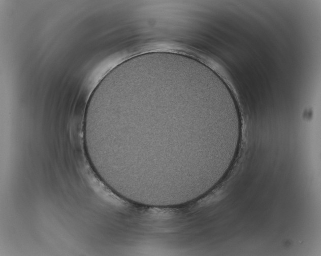 X0000111660954200908071430