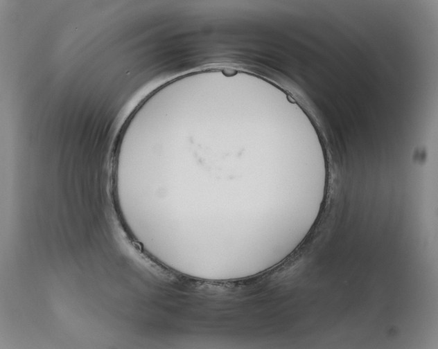 X0000111660955200908071430