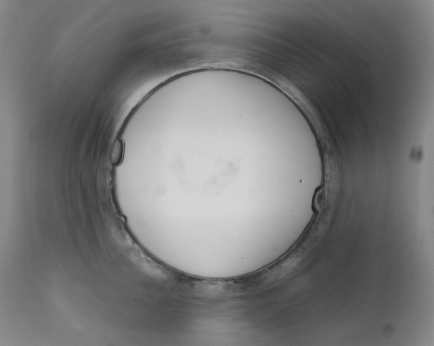 X0000111660956200908071430