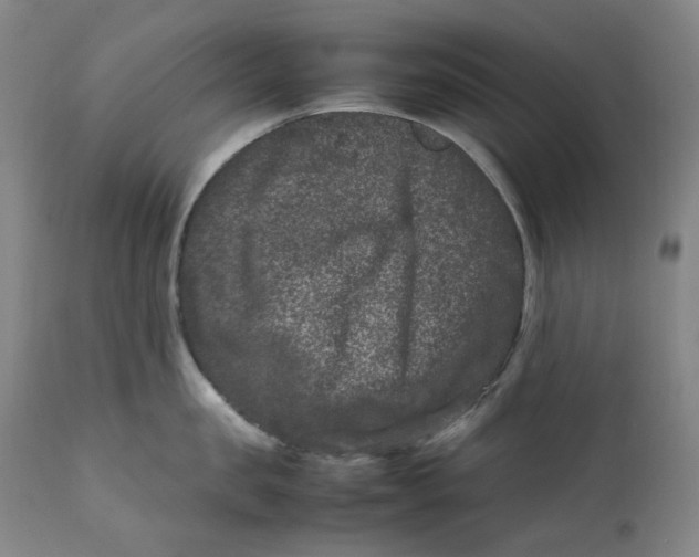 X0000111660957200908071430