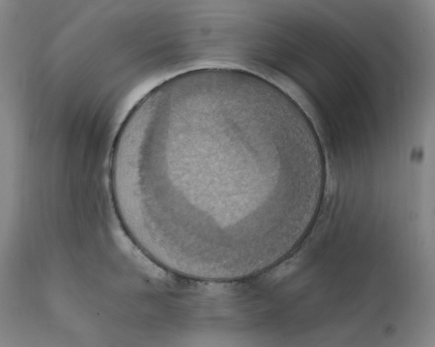 X0000111660958200908071430