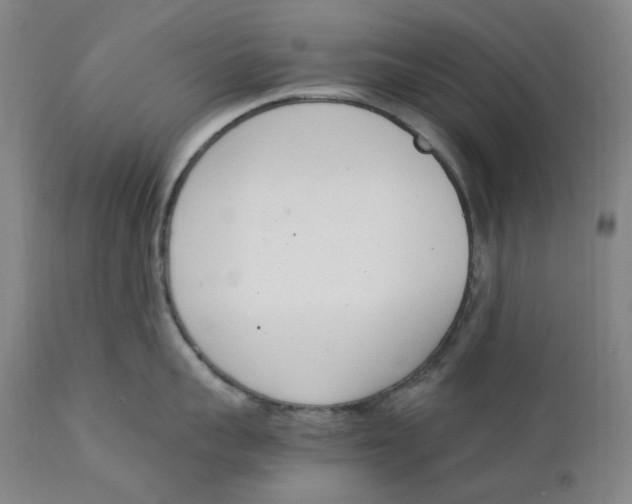 X0000111660959200908071430