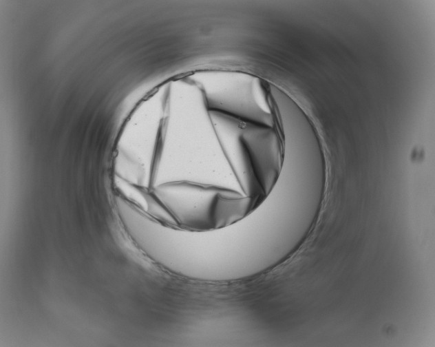 X0000111660960200908071430