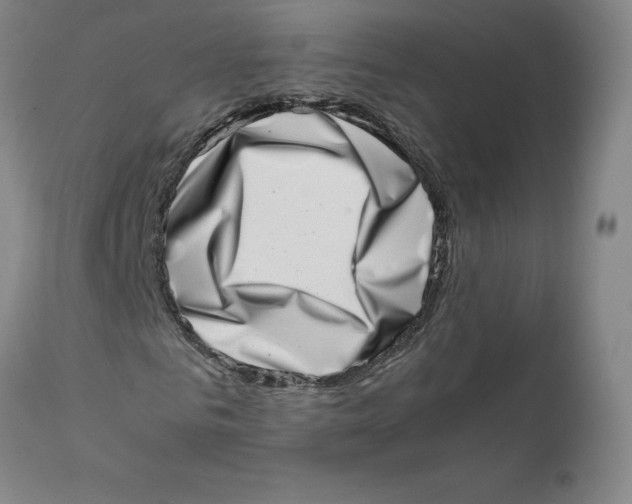 X0000111660961200908071429