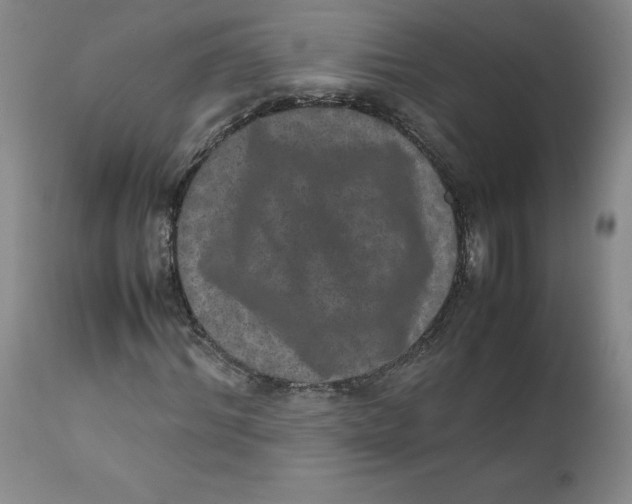 X0000111660964200908071429